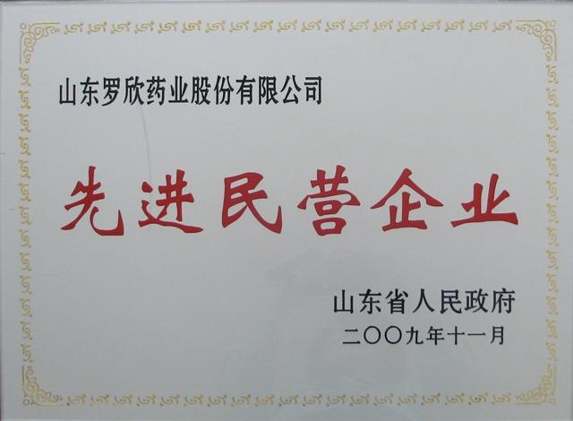 先進(jìn)民營(yíng)企業(yè)